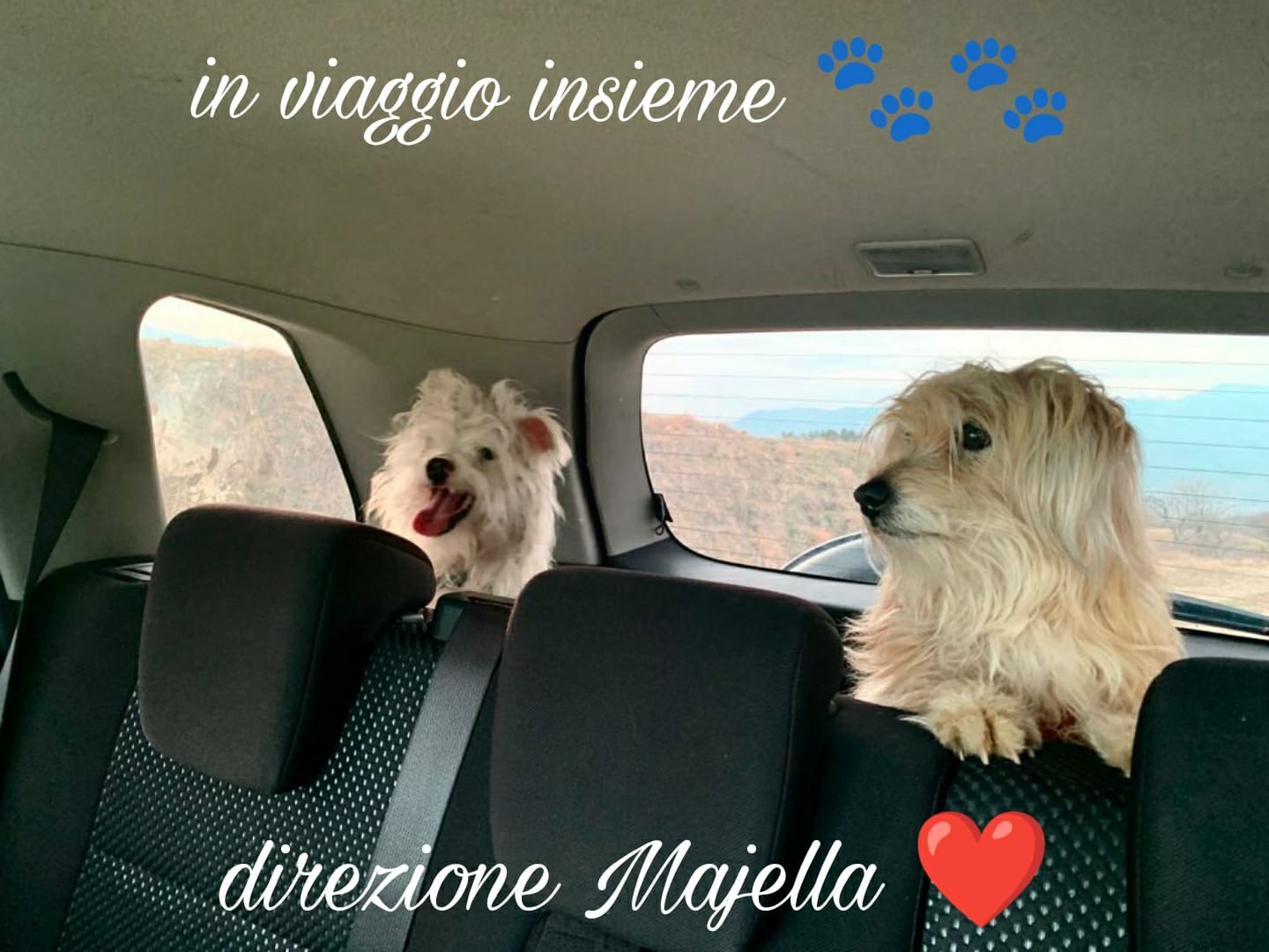 Estate 2022 sulla Majella petfriendly